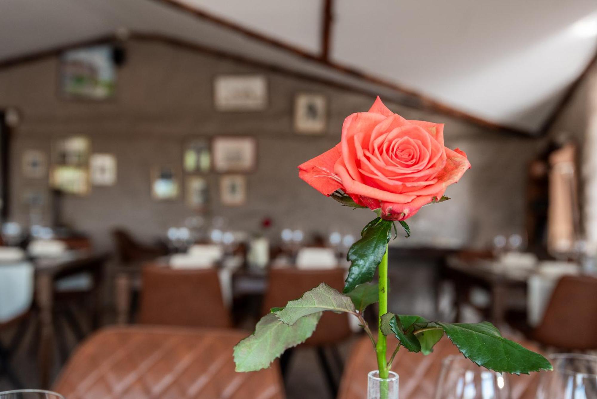 Boutique Hotel Anna By Ej Hotels Holt  Buitenkant foto